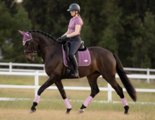 Le Mieux zadeldekje  classic Loire dressuur Mallow