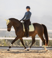 Le Mieux suede square zadeldekje  dressuur Macaron