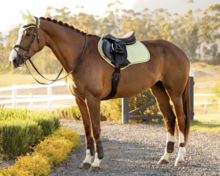 Le Mieux suede cc square  spring zadeldekje Macaron