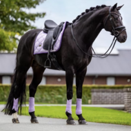 Equestrian Stockholm Mesh peesbeschermers lavender 