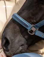  Eskadron halster Softshell Jewel classic Ocean