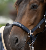 Eskadron classic 26 halster Sparkle Double Pin navy