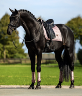 Equestrian Stockholm zadeldek Modern Midsummer Blush  Dressuur 