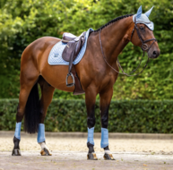 Equestrian Stockholm zadeldek Modern Midsummer Blue    Jump - full