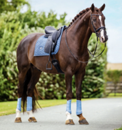 Equestrian Stockholm zadeldek Modern Midsummer Blue  Dressuur 