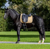 Equestrian Stockholm zadeldek Modern Midsummer Glow  Dressuur 