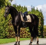 Equestrian Stockholm Mesh peesbeschermers Midsummer Glow 