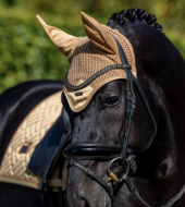  Equestrian Stockholm  vliegenoortje Midsummer Glow 