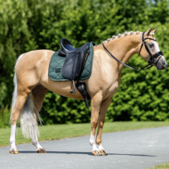 Equestrian Stockholm zadeldek dressuur Satin Sycamore Green