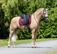 Equestrian Stockholm zadeldek dressuur Velvet Merlot