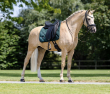 Equestrian Stockholm zadeldek dressuur Velvet Sycamore Green