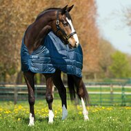 Horseware Liner 400gr