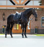 Equestrian Stockholm black blush  Dressuur 