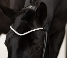 Equestrian Stockholm frontriem   8 mm  Crystal