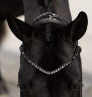 Equestrian Stockholm frontriem zwart  8 mm 