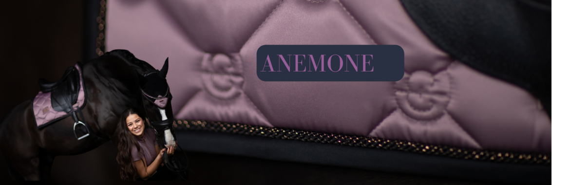 Anemone