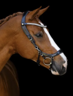 Presteq-hoofdstellen