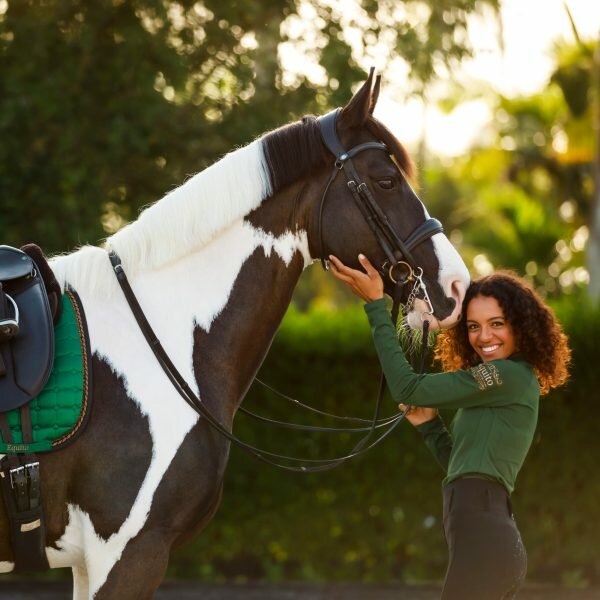 Equito evergreen base layer 