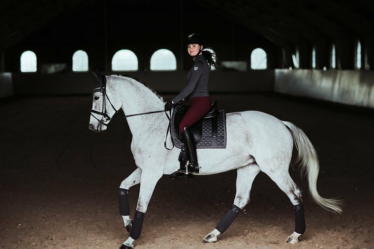 Equestrian Stockholm bandages silver cloud no boundaries 