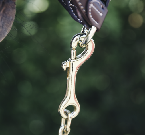 Kentucky Hengstenketting