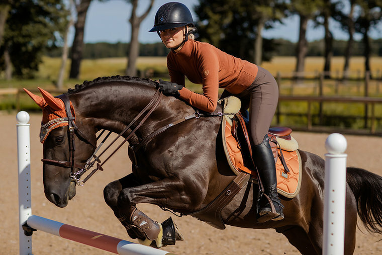 Equestrian Stockholm Bronze Gold  Jump FULL 