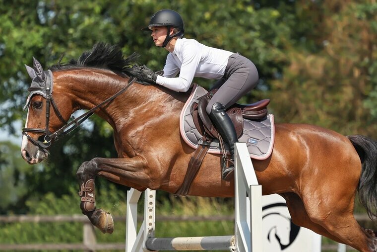 Equestrian Stockholm zadeldek Spring Dusty Pink PONY