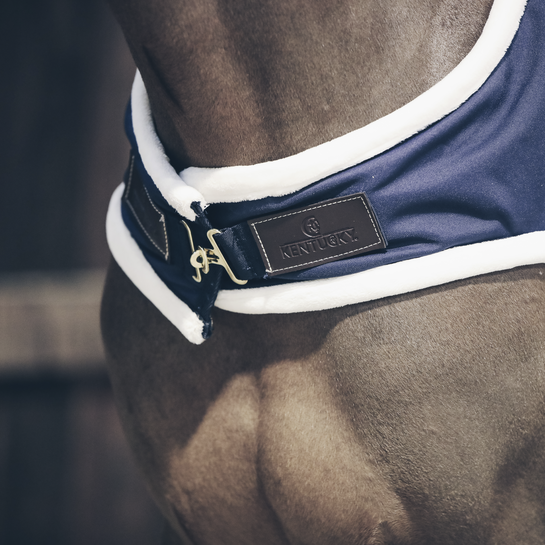 Kentucky stapmolen deken  waterdicht 