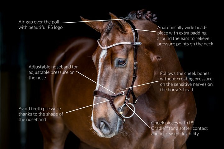 PS of Sweden hoofdstel - Nirak 