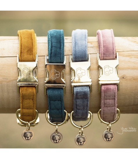 Kentucky honden halsband Velvet licht blauw