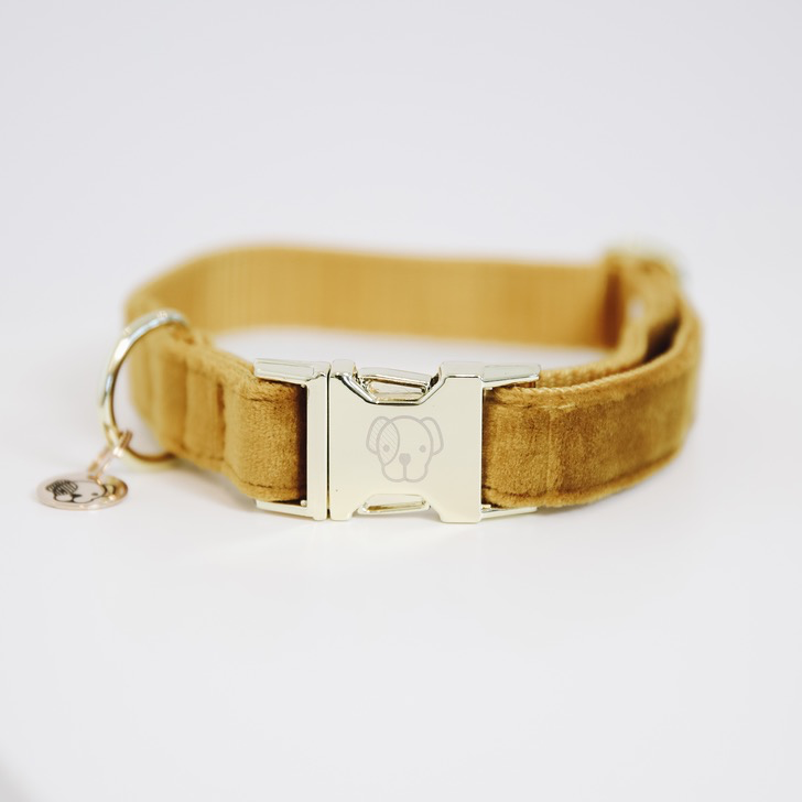 Kentucky honden halsband Velvet mustard 