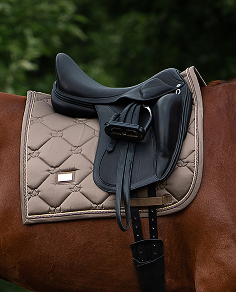 Equestrian Stockholm dressuur dekje Champagne