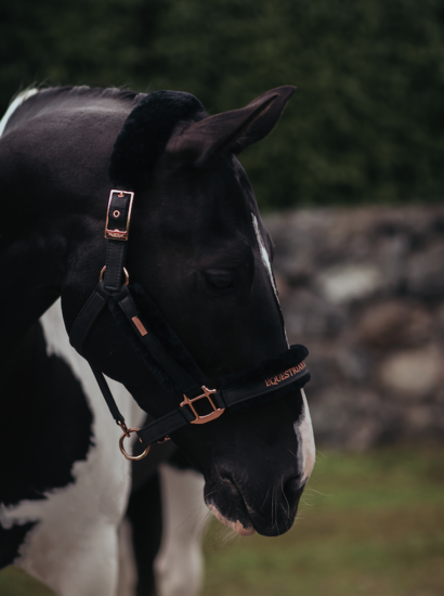 Equestrian Stockholm Halster dark sky PONY