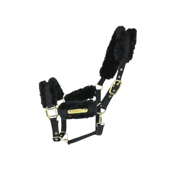Kentucky nylon halster bont zwart 