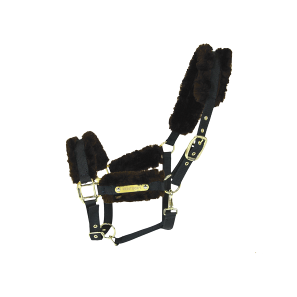 Kentucky nylon halster bont bruin