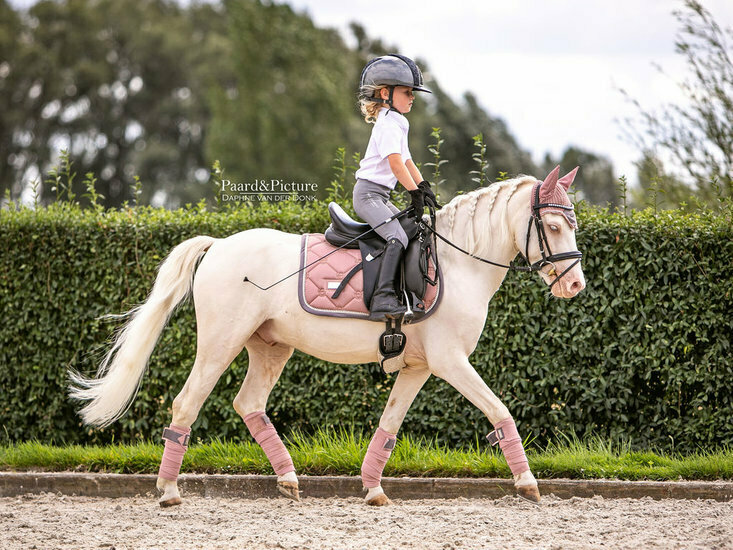 Equestrian Stockholm Pink pearl pony