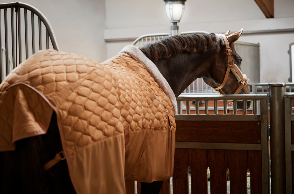 Eskadron ZETA staldeken Fauxfur 150 grams Cognac '23