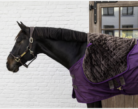 Kentucky Turnout Deken All Weather Waterdicht pro ROYAL PURPLE  'konijnenbont'  160 grams 
