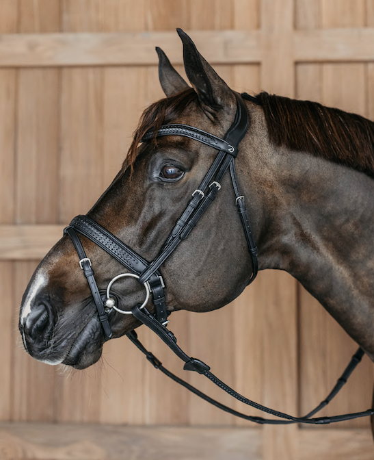 Dy'on trens  hoofdstel plaited flash met pull zwart 