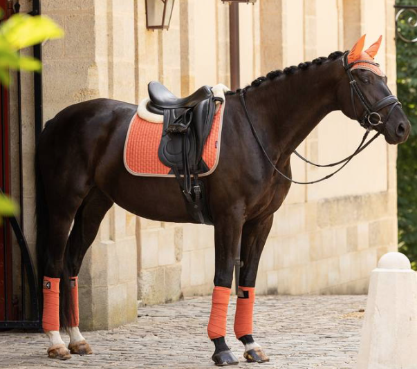 Le Mieux SUEDE Apricot dressuur zadeldekje MAAT COB