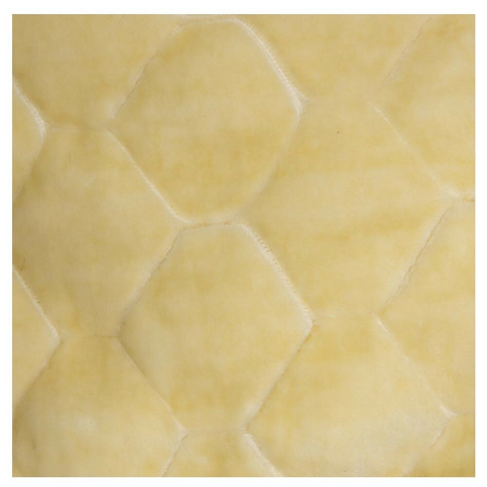 BR Uitrijdeken Zamora Silver Birch