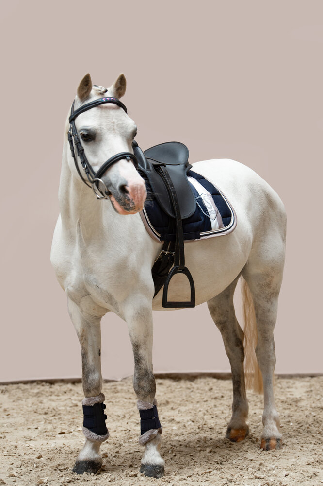 Eskadron Big square Cotton SHETTY Classic Sports Navy XXS '24 