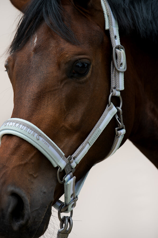 Eskadron Halster Pinbuckle Classic Sports Powder Green-White-Velvet Taupe '24