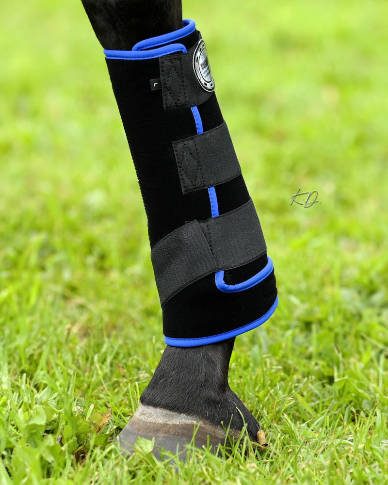 IndraHorse FANTASY zwart/koningsblauw