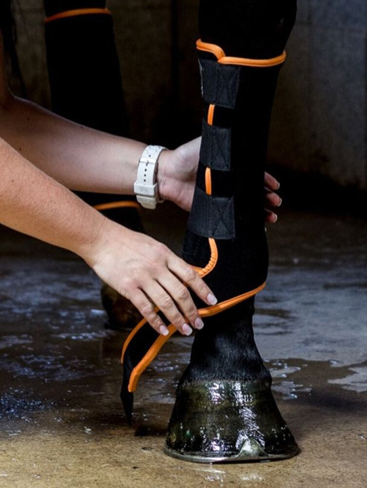 IndraHorse FANTASY zwart/oranje