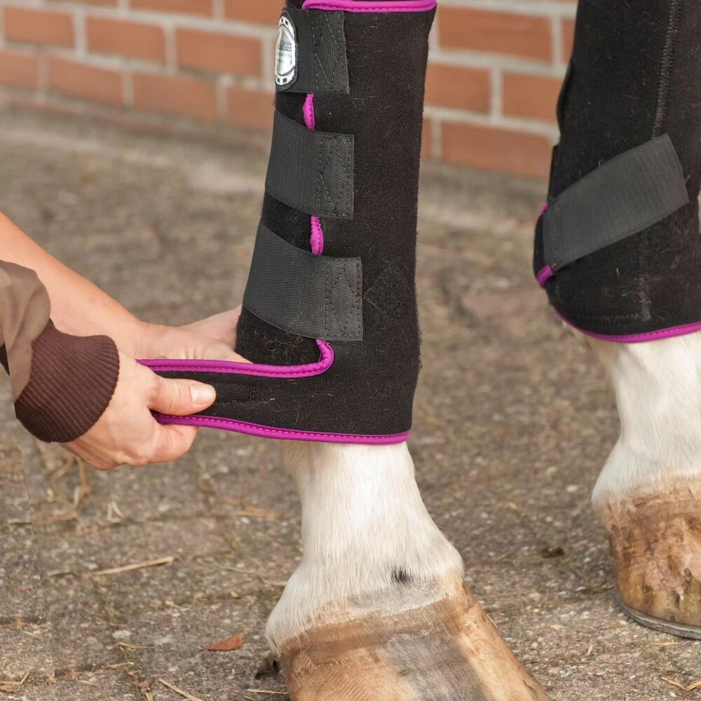 IndraHorse FANTASY zwart/paars