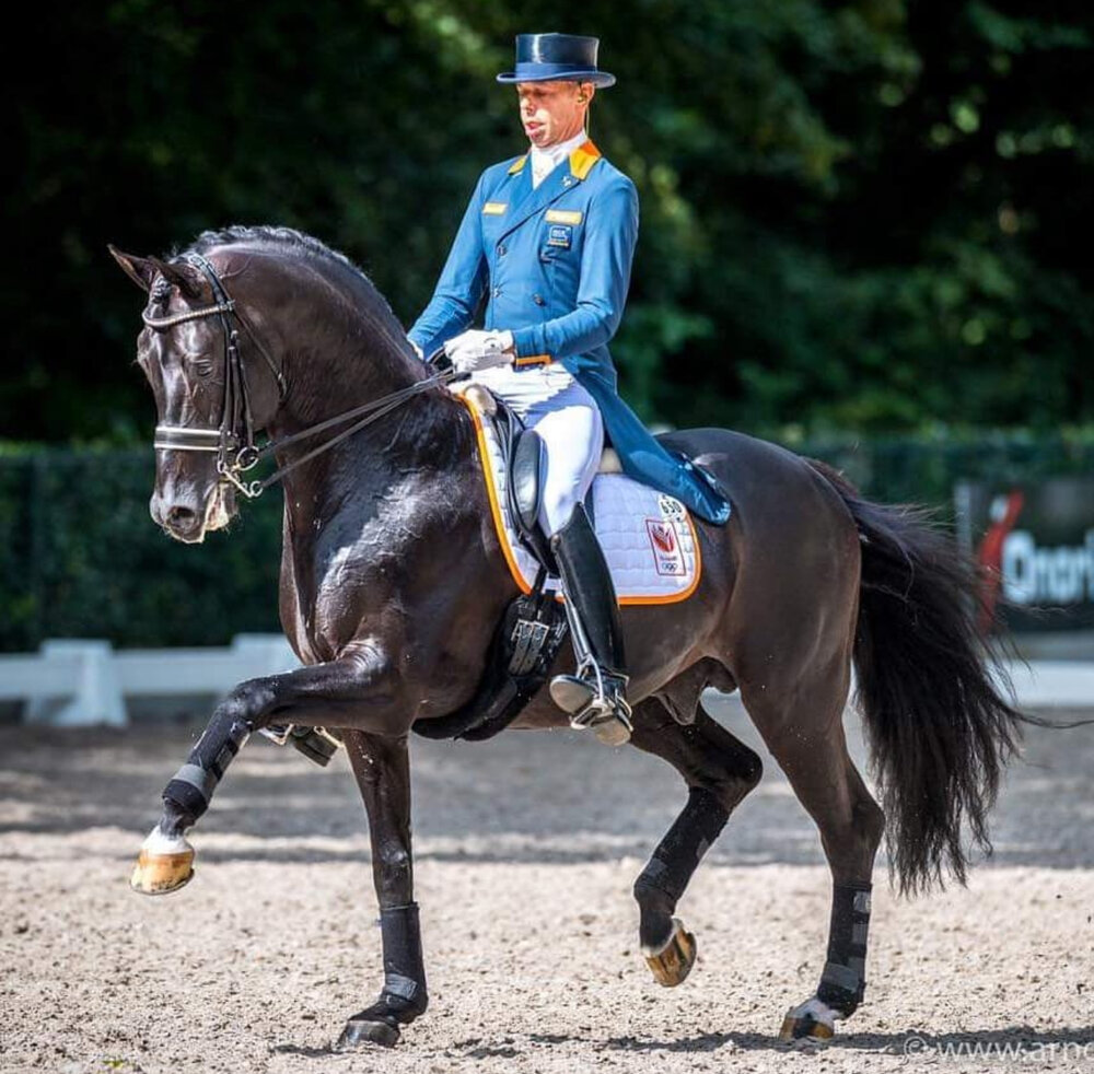 IndraHorse ELITE zwart 