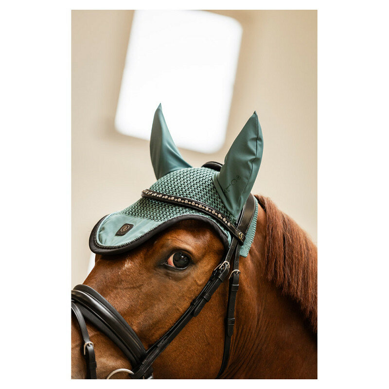 BR CLX Oornetje Sea Spine maat FULL