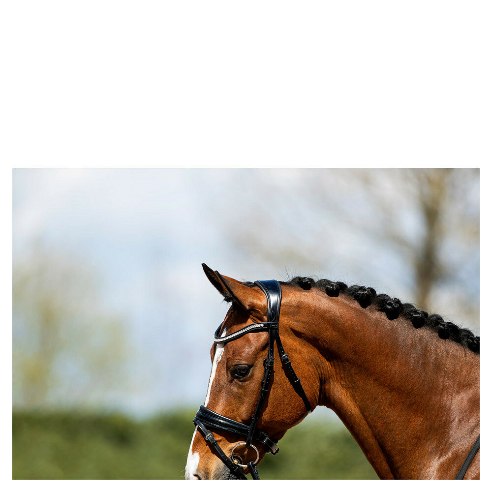 Anky hoofdstel ATH20005 Anatomical Zwart/Zwart lak