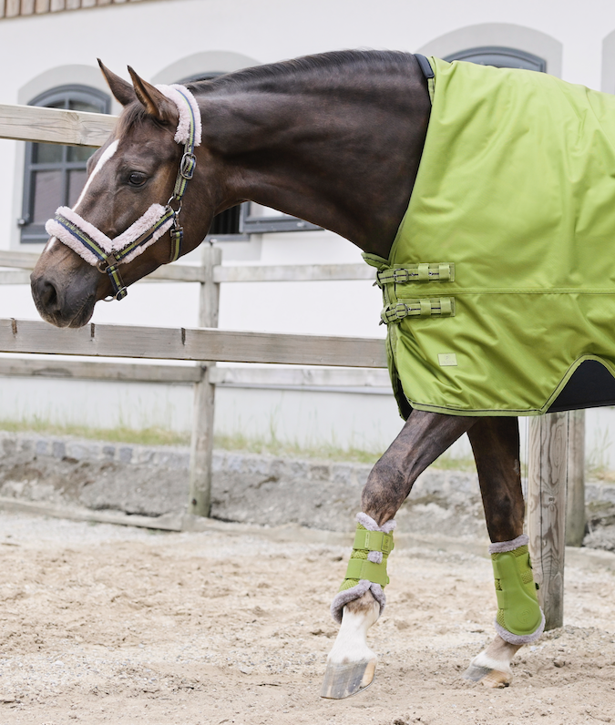 Eskadron peesbeschermers Mesh platinum met bont moss green