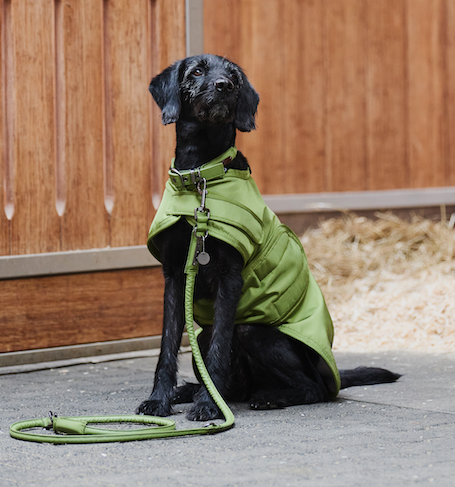 Eskadron Honden Halsband+Riem Platinum moss green '24